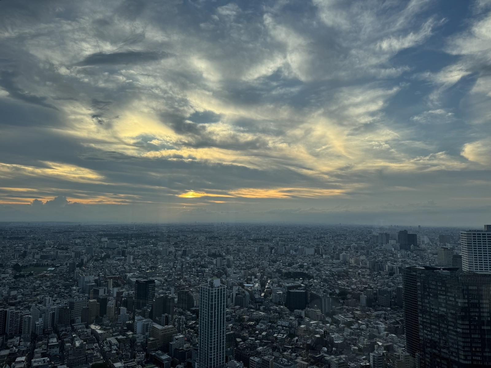 Вид c <a href="https://maps.app.goo.gl/R3bmV2zkLgM1E7dV6">Tokyo Metropolitan Government Building</a> — это крутая и бесплатная смотровая. В погоду получше видно даже Фудзи