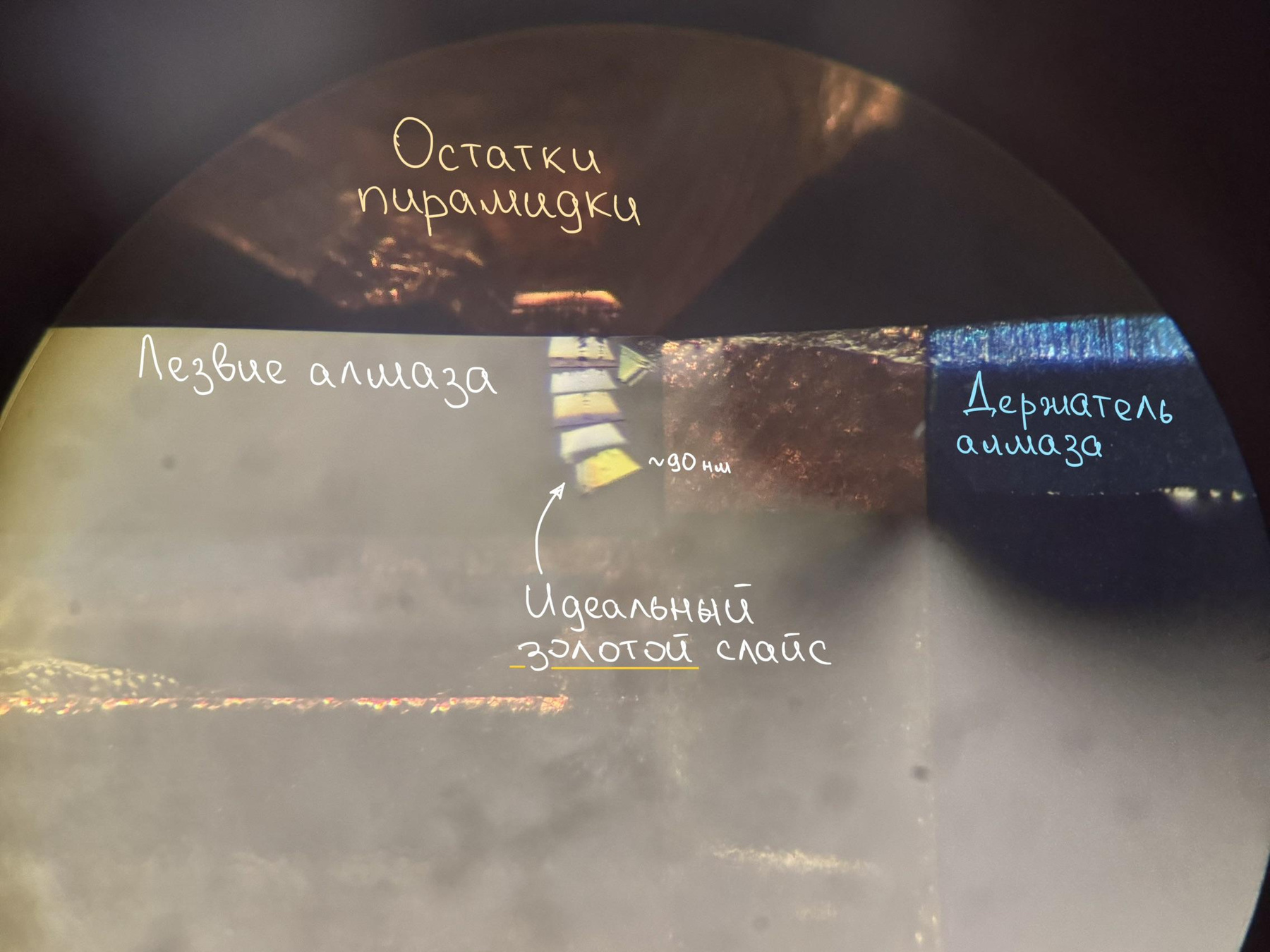 Сверху пирамидка, а снизу алмаз. Ну а эти плавающие слайсики — и есть клетки!