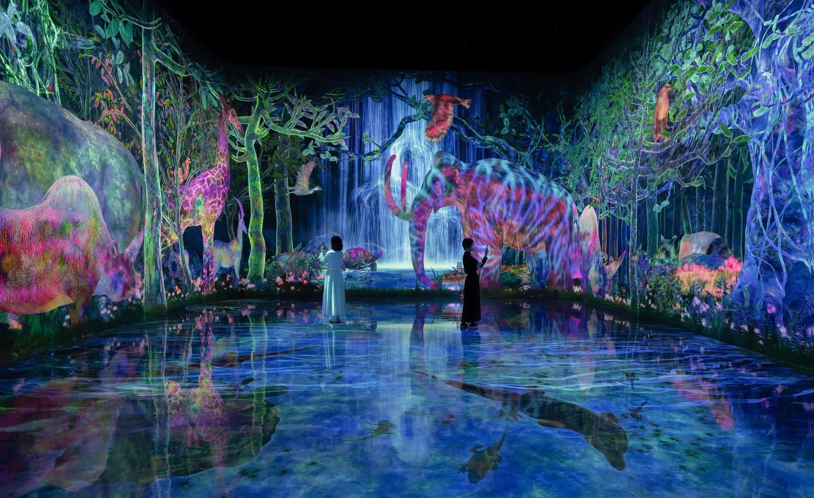 Извините за <a href="https://www.teamlab.art/e/planets/">стоковое фото</a>: я настолько погрузился, что забыл фотографировать